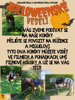 MÁME MOŽNOST VYUŽÍT NABÍDKU KRÁSNÉHO PROŽITKU - JÍZDY NA KONI. 